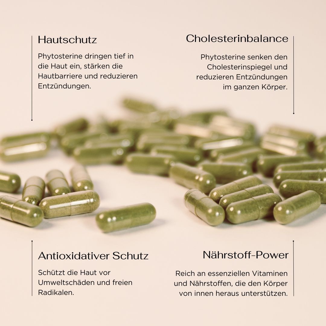 Bio Moringa Powder